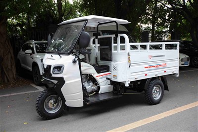 Benzīna kravas trīsritenis